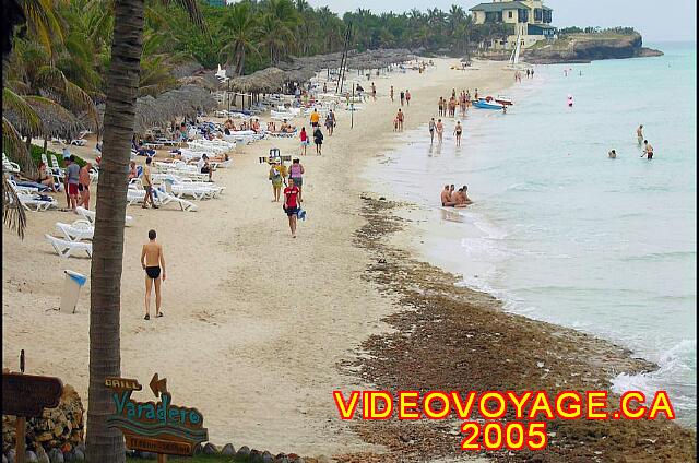 Cuba Varadero Melia Varadero The beach is shared by two hotels, it is possible to see a large amount of customer on the beach together.