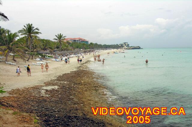 Cuba Varadero Melia Varadero The number of passing on the beach is more limited, because this beach is not communicating with the other hotels.