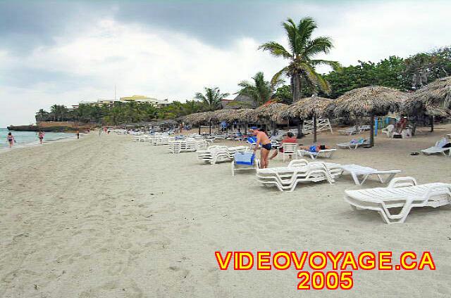 Cuba Varadero Melia Varadero Plenty of sun loungers and palapas on the beach.