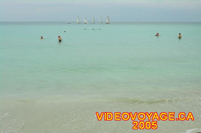 Cuba Varadero Melia Varadero A colored water aqua, translucent, with few fish. But more than 600 meters from the edge, there are several boat who meet to go snorkeling. A large amount of possons there, but little diversity.