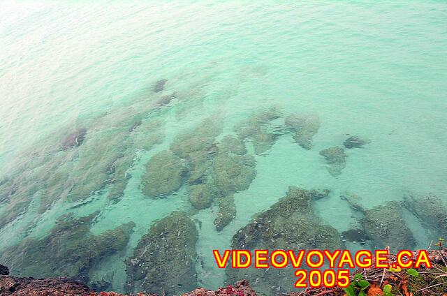 Cuba Varadero Melia Varadero The seabed in front of the rocky point.