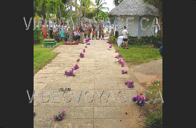 Cuba Varadero Sol Palmeras The path lined with flowers married.