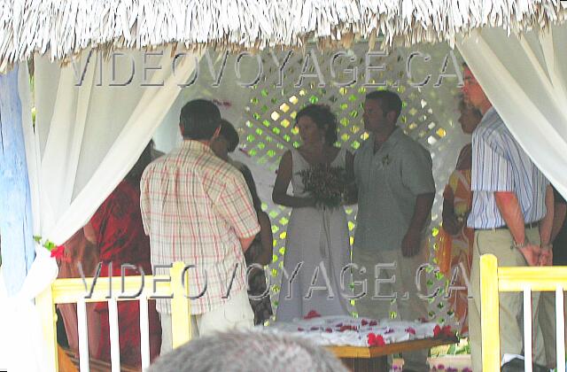 Cuba Varadero Sol Palmeras They listen very carefully!