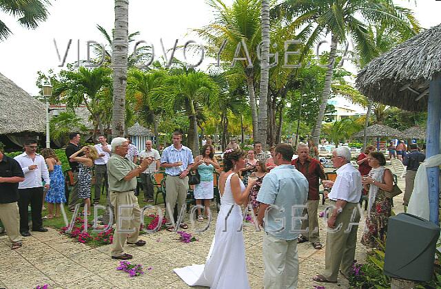 Cuba Varadero Sol Palmeras The guests ...