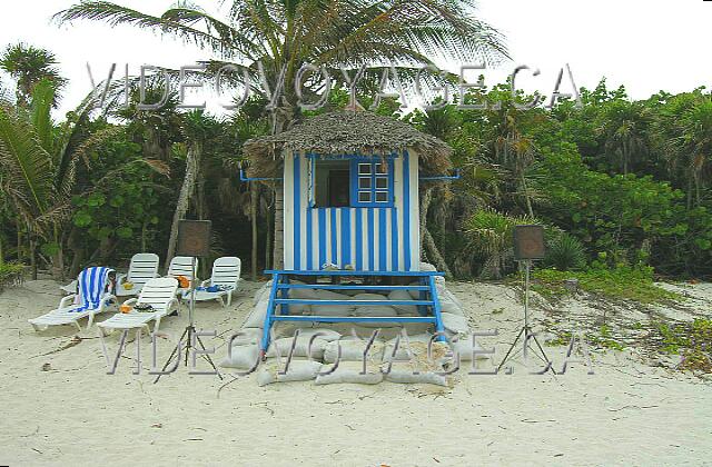 Cuba Varadero Sol Palmeras On the beach, animation ...