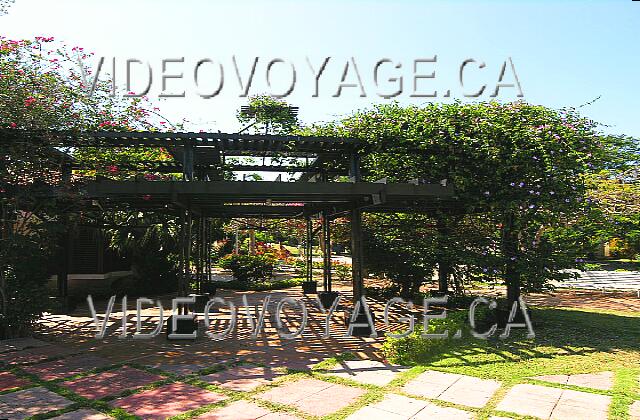 Cuba Varadero Sol Palmeras Un hermoso paisaje rodea el restaurante.