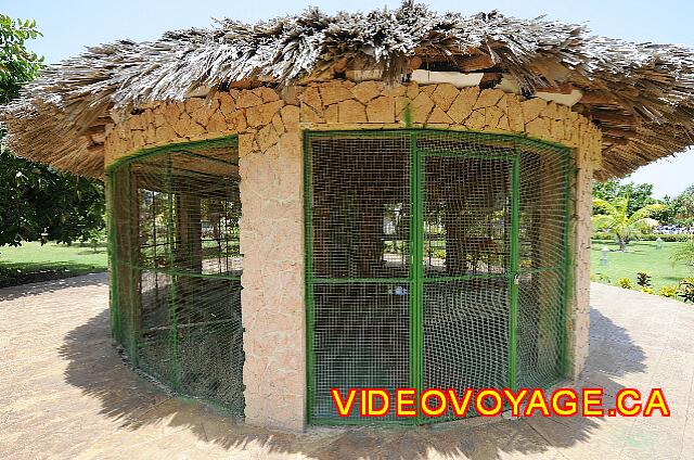 Cuba Varadero Tainos To watch the birds ...