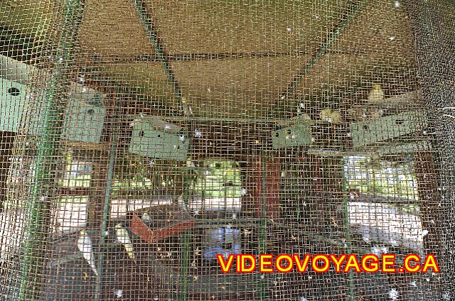 Cuba Varadero Tainos Varias vallas que impiden una visión clara de las aves.