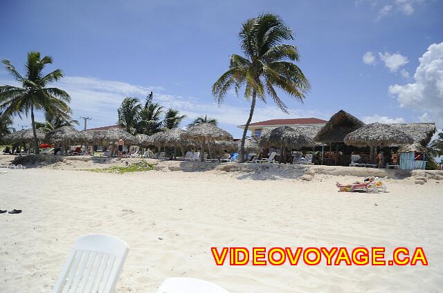 Cuba Varadero Villa Tortuga Quelques palmiers sur le bord de la plage.