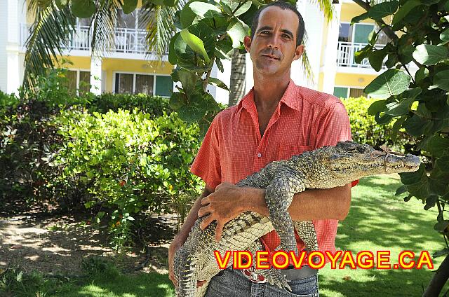 Cuba Varadero Melia Peninsula Varadero De animales caminando por ahí con diferentes animales en el sitio, para llevarlos en sus brazos o fotografía.