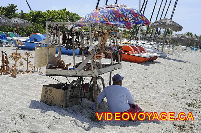 Cuba Varadero Melia Peninsula Varadero Ellos molestan a nadie en la playa. Si usted tiene necesidades de información que se répondrent pero no son agresivos.