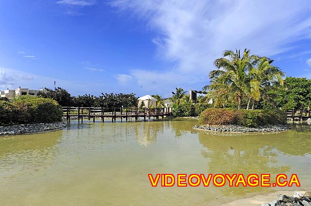Cuba Varadero Melia Peninsula Varadero En el estanque artificial en la parte posterior del vestíbulo, hay un pequeño gazebo para bodas.
